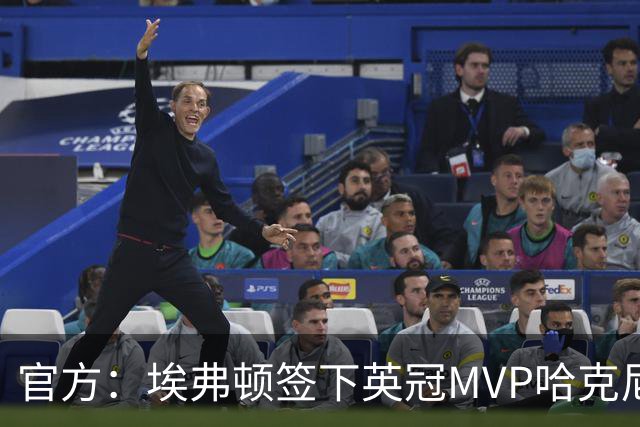 官方：埃弗顿签下英冠MVP哈克尼，据悉费用2450万英镑，签约5年